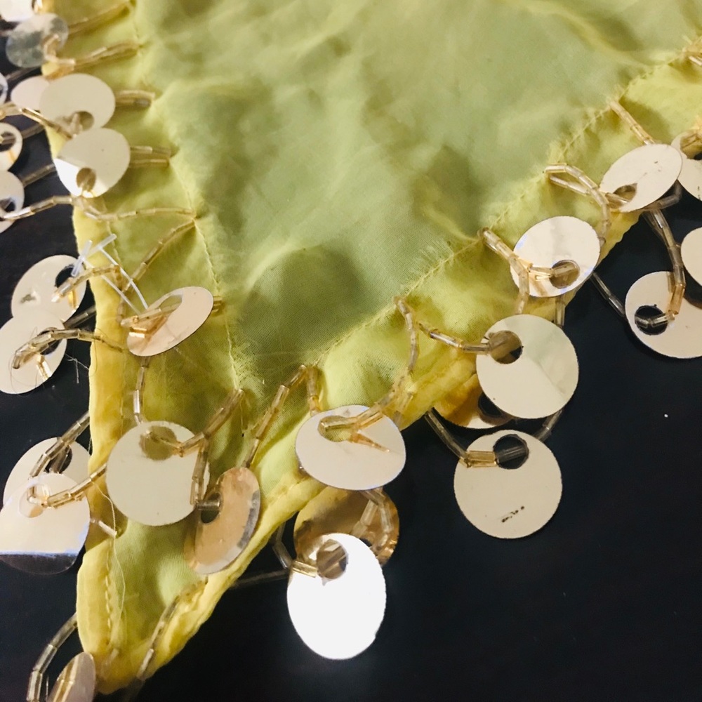 Belly Dance Accessory Duo